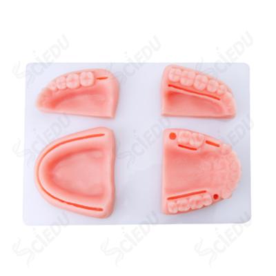 China School and Hospital Dental Teeth Model Surgical Suture Practice Pad Suture Pad en venta