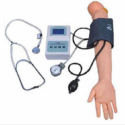 China Arm Blood Pressure Measurement Simulator Arm Blood Pressure Measurement Simulator Medical Training Arm Human Teaching Model for sale