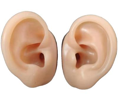 China Flexible School And Hospital Soft Silicone Ear Model for sale