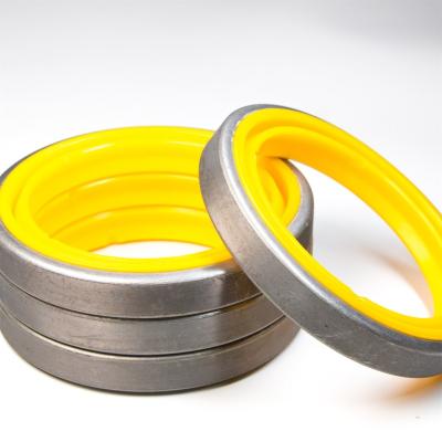 China Hydraulic Cylinder Excavator Rubber Seal Dkb Dkbi Dwi CAD CSAD Lbh Lbi Bearing Polyruethane Metal Seal Hydraulic Cylinder Dust Wiper Seal for sale