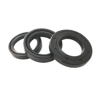 China TC Supplier China Standard Double Lip NBR TC Rubber Seal for sale