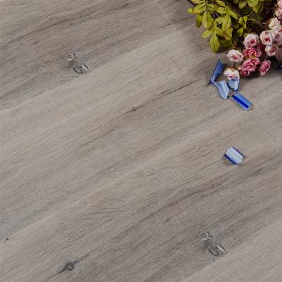 China Modern Import-Export 8mm 12mm HDF Laminate Flooring for sale