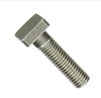 China Factory Wholesale Steel Bolts Hardware Din261 Fasteners T Head Shape Screw for sale