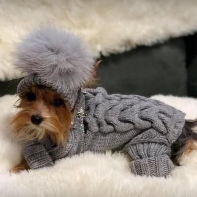 China Viable Custom Made Luxury Pom Pom With Head Band Cat Pet Dog Knitted Sweater Pajamas Soft Clothes Wholesale Pet Wear for sale