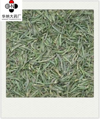 Chine 1-3% Theanine （HPLC）  Green Tea Extract  GMP/DML/Registered in Korea，Pharmaceutical grade à vendre