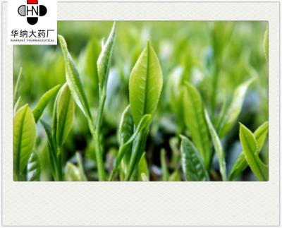 Κίνα Theobromine  0.3%-1.2%（HPLC）  Green Tea Extract  GMP/DML/Registered in Korea，Pharmaceutical grade προς πώληση