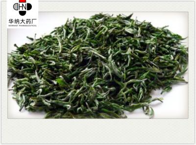 China Epicatechol （EC ） 47.5%-52.5%（HPLC）  Green Tea Extract  GMP/DML/Registered in Korea，Pharmaceutical grade zu verkaufen