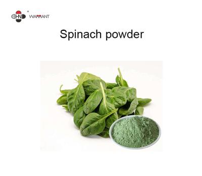 China Carotene Hypolipidemic Disease Resistant Spinach Extract Powder for sale