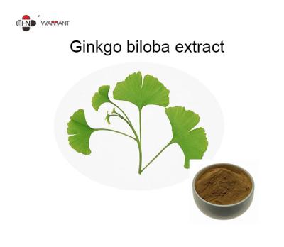 China 6% Lactones het Bladpoeder van Ginkgo Biloba Te koop