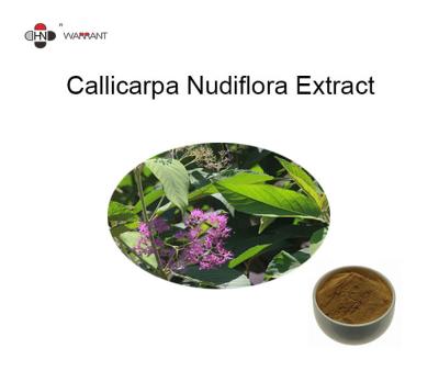 Chine Extraits de fines herbes organiques de Callicarpa Nudiflora de flavones de 24% à vendre