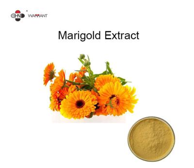 China Zeaxanthin 5% Lutein 5% Marigold Extract Powder for sale