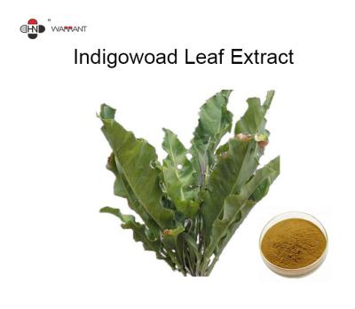 China Antibacterial 98% Indigowoad Pure Herbal Extracts for sale