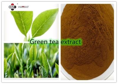 China Antipolyphenole Camellia Sinensis Leaf Powder der falten-98% zu verkaufen