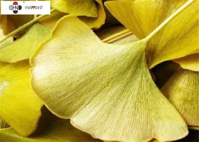 Κίνα 6% ιατρικός βαθμός απόσπασμα λακτονών Ginkgo Biloba προς πώληση