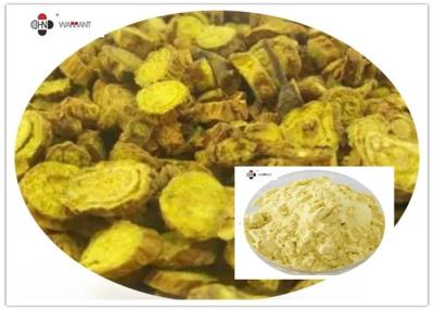 China 85% Baicalin Yellow Powder Scutellaria Baicalensis Extract for sale