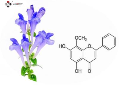 Cina Anti CAS allergico 21967 estratto della radice di zucchetto di 41 9 Baical in vendita