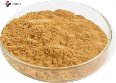 China GMP 100% Natural Anti Oxidation Dong Quai Extract for sale