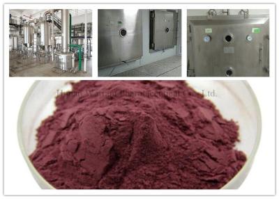 Cina Polvere dell'estratto del mirtillo rosso di proantocianidine di GMP 25% in vendita