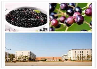 China CAS 84603 58 7 Anthocyanins Elderberry Fruit Extract for sale