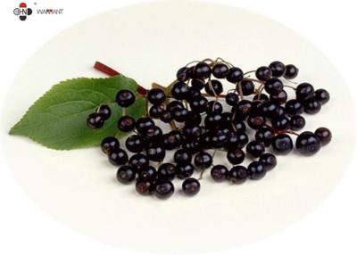 Κίνα Elderberry αντι γήρανσης της κκπ υδροδιαλυτό καθαρό εκχύλισμα προς πώληση