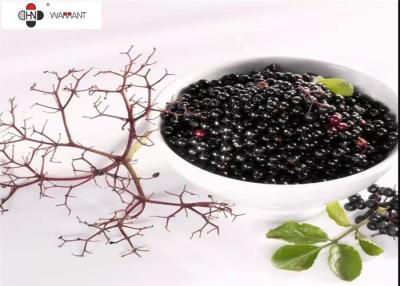 China Medical Grade CAS 84603 58 7 Elderberry Extract Powder for sale