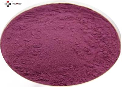 China Purple Fine 25% Anthocyanin Elderberry Extract Powder for sale