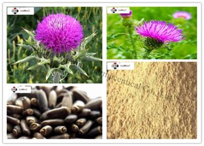 China Antioxidans-Pulver Browns gelber Silybum Marianum-Auszug zu verkaufen