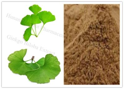 Cina CAS 90045 estratto fine Egb 761 del ginkgo biloba della polvere 36 6 in vendita