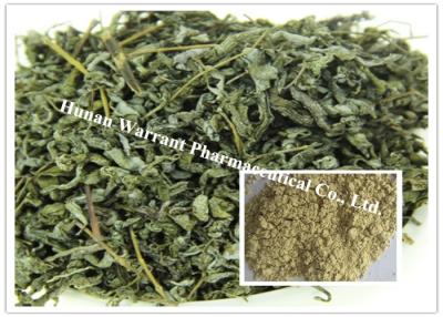 China Antitumor Vine Tea Botanical Herbal Extract for sale