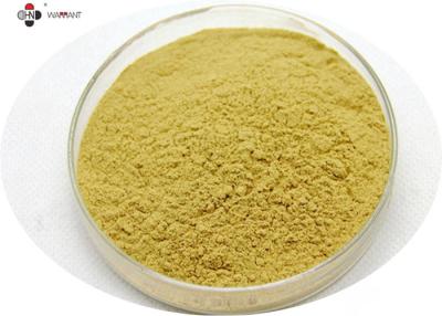 China 80 Mesh Anti Wrinkle Ginsenosides 80% Ginseng Root Powder for sale