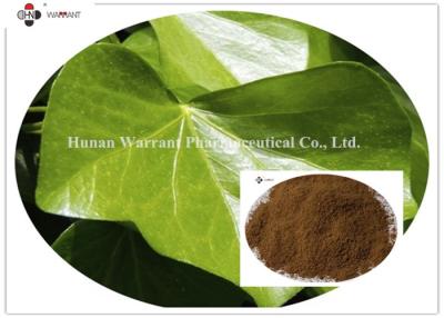 China 20% Hederagenin CAS 14216 tosse de 03 6 Ivy Leaf Extract For Dry à venda