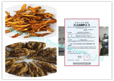 China Pure natural no accessories  CAS 633 65 8 Rhizoma Coptidis Extract  GMP Registered with Korea MFDS for sale