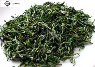 China 20% Polyphenols Green Tea Leaf Extract for sale