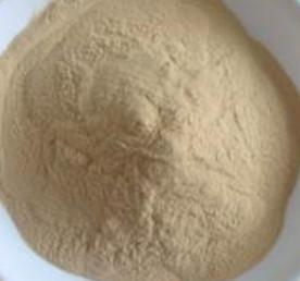 China Pharma Grade Centella Asiatica Leaf Extract Powder 55%-60% Asiaticoside Anti Aging for sale