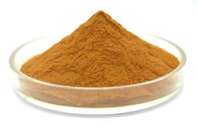 China Antiinfection Echinacea Extract Powder Pure Natural Plant Extract for sale