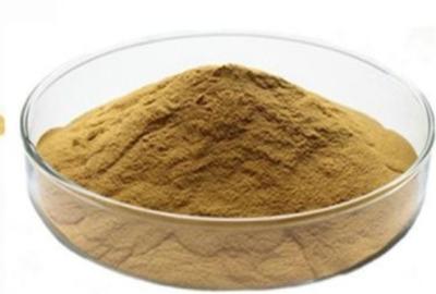 Cina 14216-03-6 Ivy Leaves Dry Extract Powder con l'ingrediente di Hederacosides in vendita