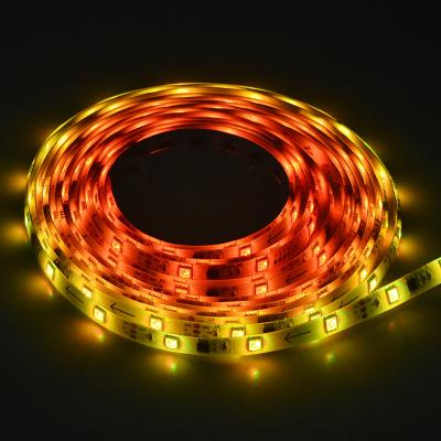 China LANDSCAPE 5050 ws2811 led strip 12v, led strip lights price in bangladesh, rgb cct led strip 24v for sale