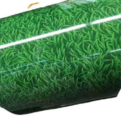 China Forms DX51D DX52D DX53D DX54D PPGI Color Coated Galvanized Decorative Green Pattern Grass Steel Coil for sale