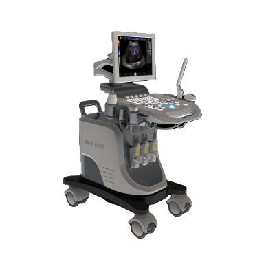 China Metal Color Display Doppler Ultrasound LCD Medical Instruments Machine Ultrasonic Diagnosis System for sale