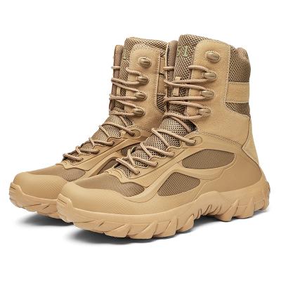 China Fashion Large Size Waterproof EUR 48 Outdoor Tactical Boot for sale