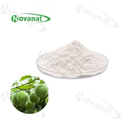 China Etiqueta limpia del monje del edulcorante natural soluble en agua de Fruit Extract Powder el 50% Mogroside V en venta