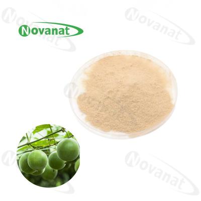 China 25% Mogroside V Luo Han Guo Extract Powder Natural Sweetener Water Soluble for sale