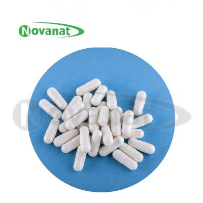 Chine Capsule Probiotic de capsule Probiotic d'ODM/OEM pour immunisé/marque de distributeur générales à vendre