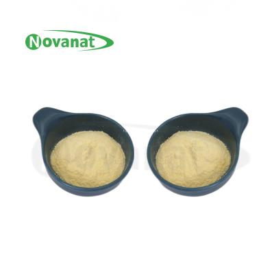 China Polvo Plantarum Tyndallized/vegano/libre de LP-Onlly Postbiotics de lactobacilo (alergénico/gluten/lechería) en venta