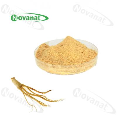 China Pure Root Ginseng Extract Powder 5%-80% Ginsenosides UV / HLPC / Water Soluble / Clean Label for sale