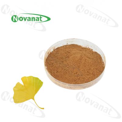 China 100% Natuur Gingko Biloba Blad Extract Poeder/USP/E.P/CP15/Voedingssupplementen Ingrediënten Te koop