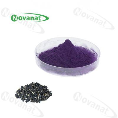 Chine OPC 1,5% noir de Goji Berry Extract Powder (Proanthocyanidins)/ingrédient antioxydant à vendre