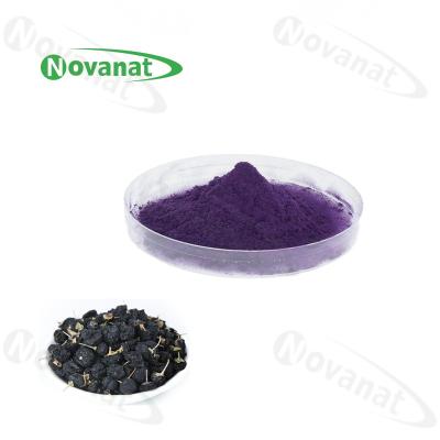 Chine OPC Berry Extract Powder noir organique de Goji/1,5% (Proanthocyanidins)/ingrédient antioxydant à vendre