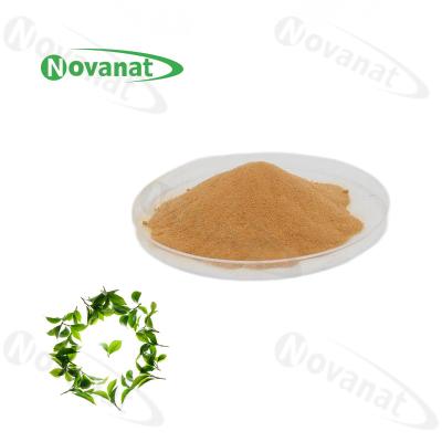 China Té verde L-Theanine el 20%/el 30%/el 40% L-Theanine natural del extracto natural del 100% en venta