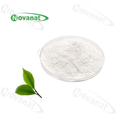 China epigallocatechinegallaat groene thee-extract/EGCG-poeder 94%/95%/98%/cafeïnevrij Te koop